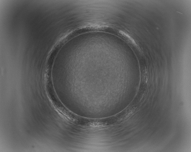 X0000082990736200702160023