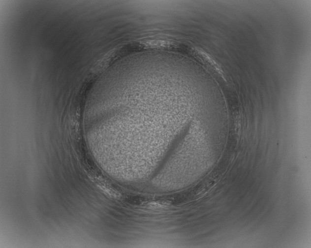 X0000082990737200702160023