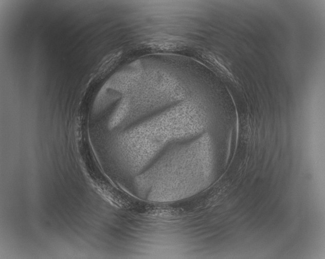 X0000082990738200702160023