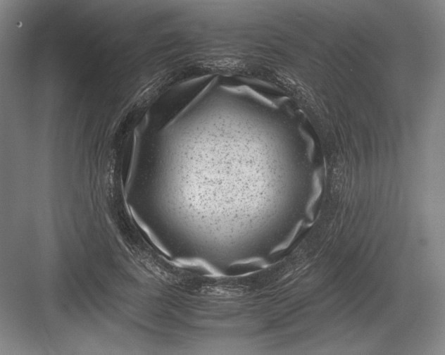 X0000082990739200702160023