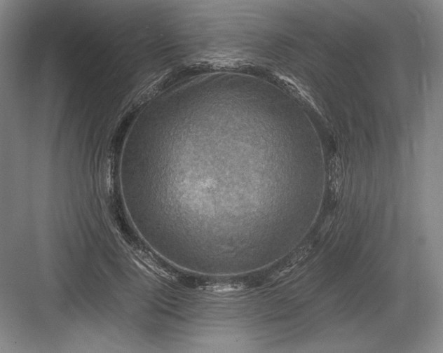 X0000082990740200702160023