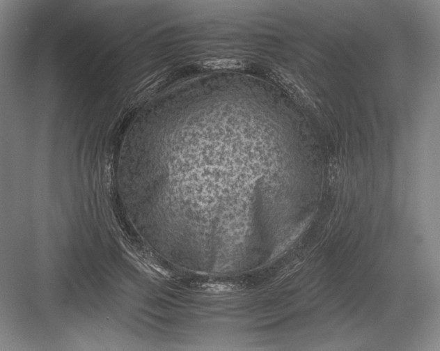 X0000082990741200702160023