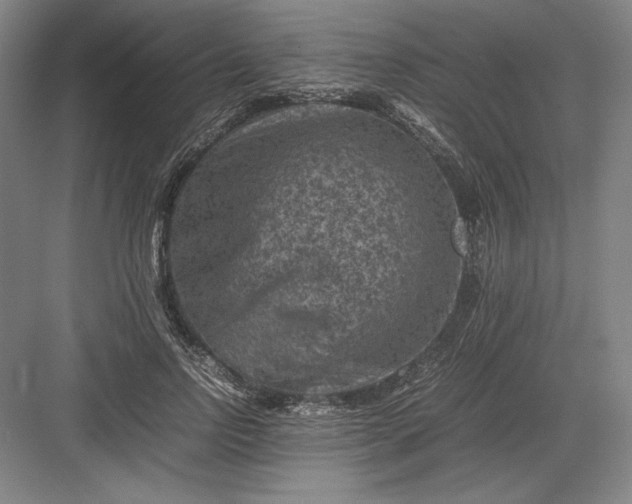 X0000082990742200702160023