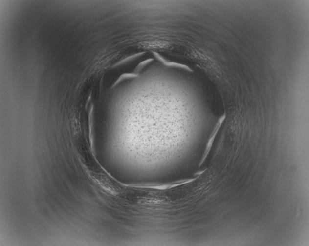 X0000082990743200702160023