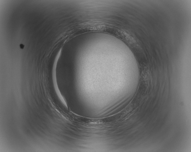 X0000082990744200702160023