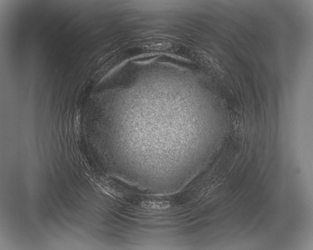 X0000082990745200702160023