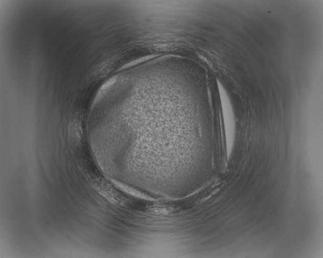 X0000082990746200702160023