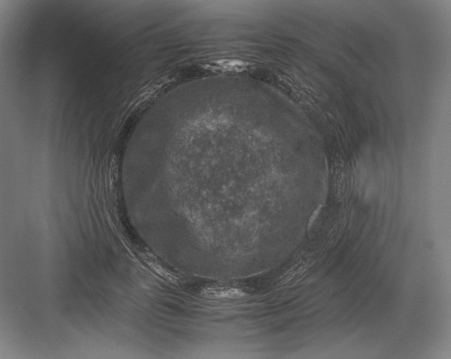 X0000082990747200702160023