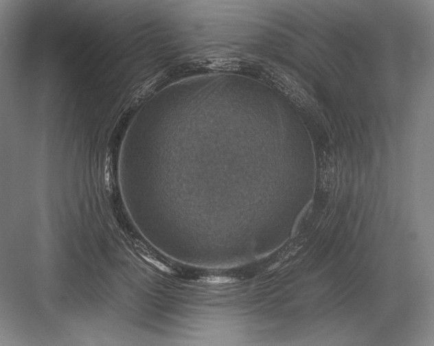 X0000082990748200702160023