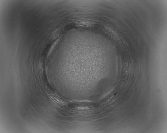 X0000082990749200702160023