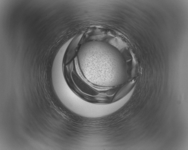 X0000082990750200702160023