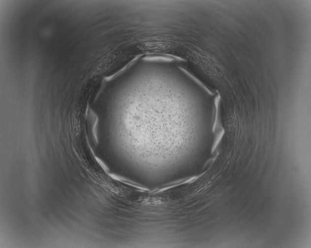 X0000082990751200702160023