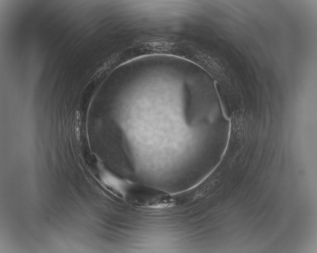 X0000082990752200702160023