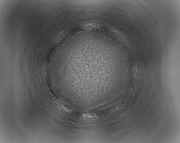 X0000082990753200702160023