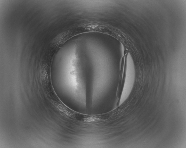 X0000082990754200702160023