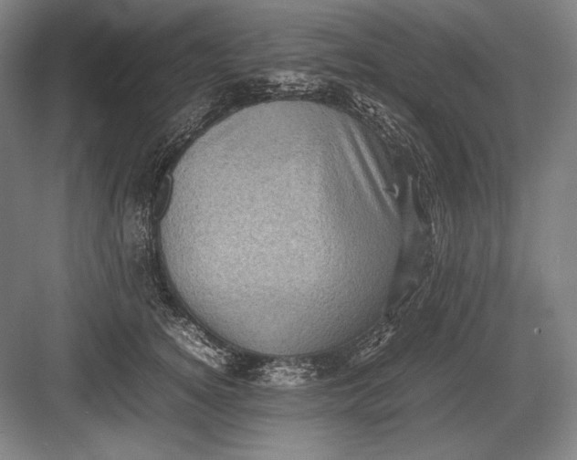 X0000082990756200702160023