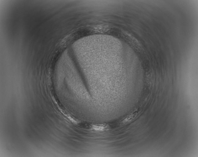 X0000082990757200702160023