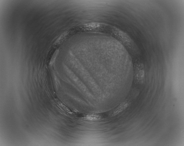 X0000082990758200702160023