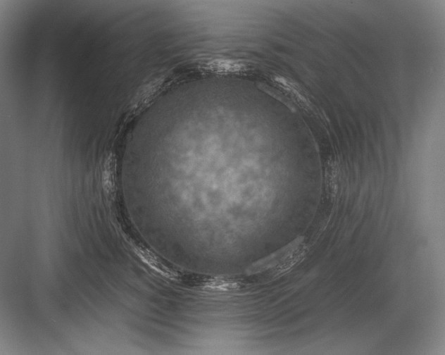 X0000082990760200702160023