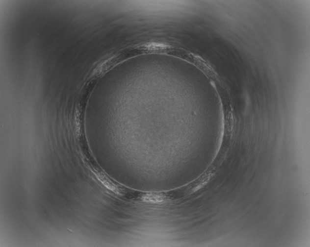 X0000082990762200702160023