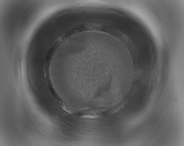 X0000082990765200702160023