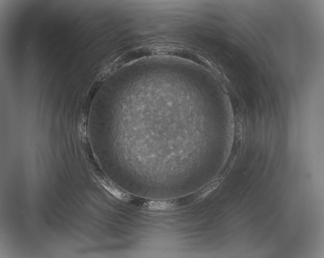 X0000082990766200702160023