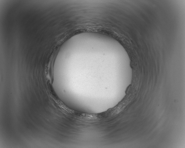 X0000082990768200702160023