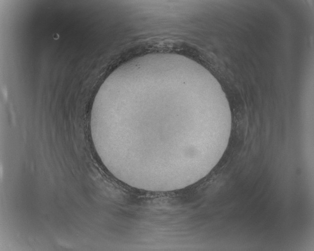 X0000082990769200702160023