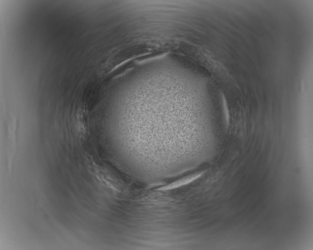 X0000082990770200702160023