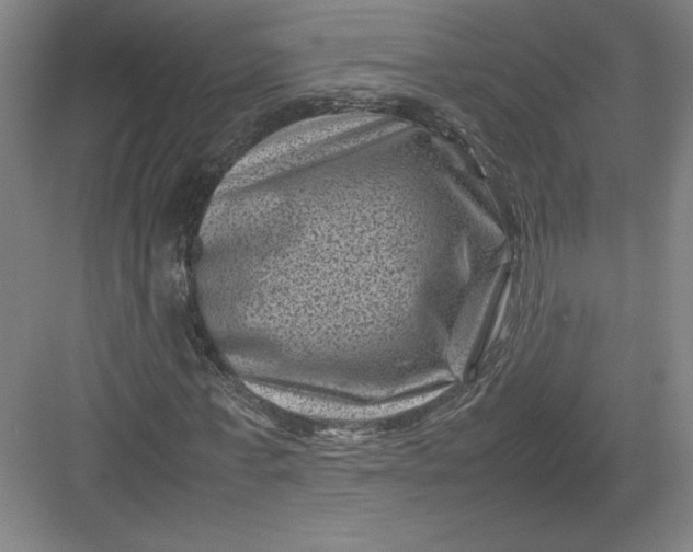 X0000082990771200702160023