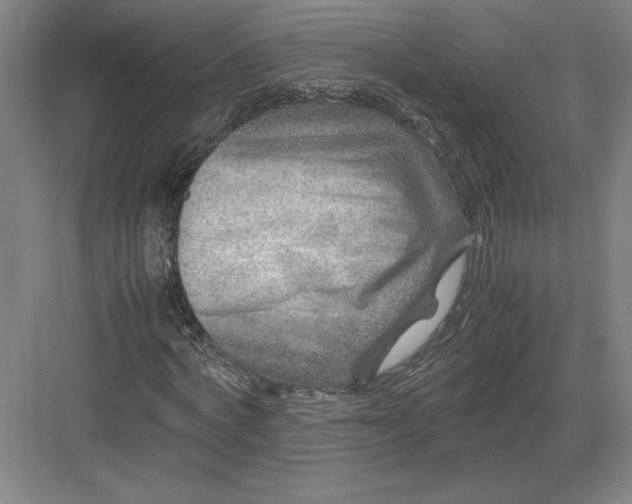 X0000082990772200702160022