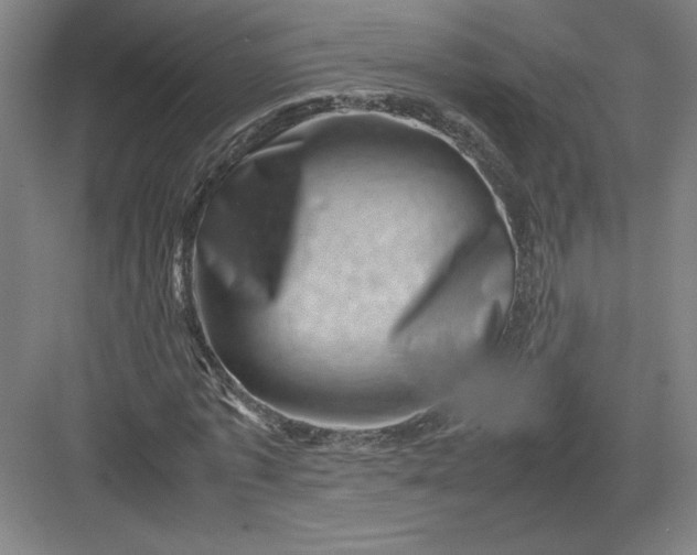 X0000082990773200702160022