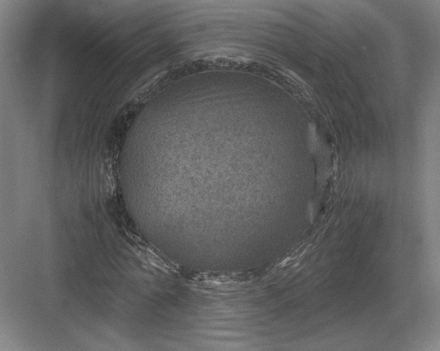 X0000082990774200702160022