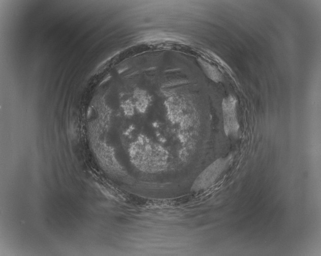 X0000082990775200702160022