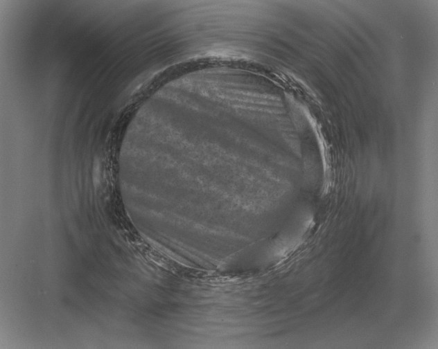 X0000082990776200702160022