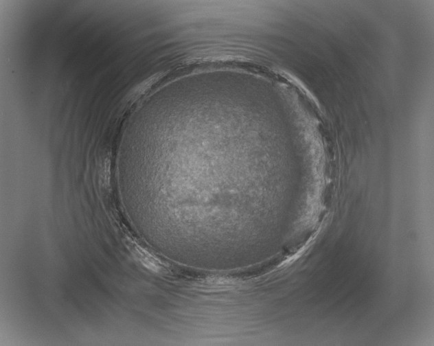 X0000082990777200702160022