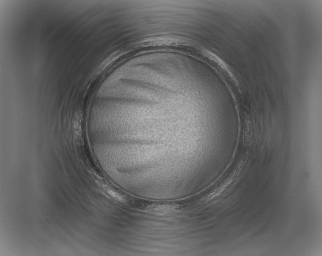 X0000082990778200702160022