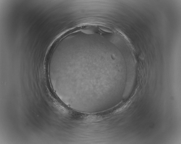 X0000082990779200702160022