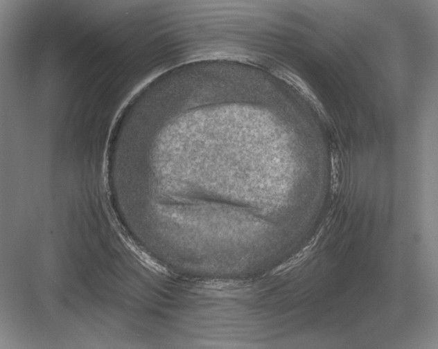 X0000082990780200702160022