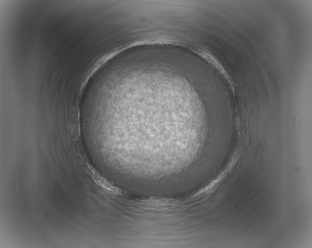 X0000082990781200702160022