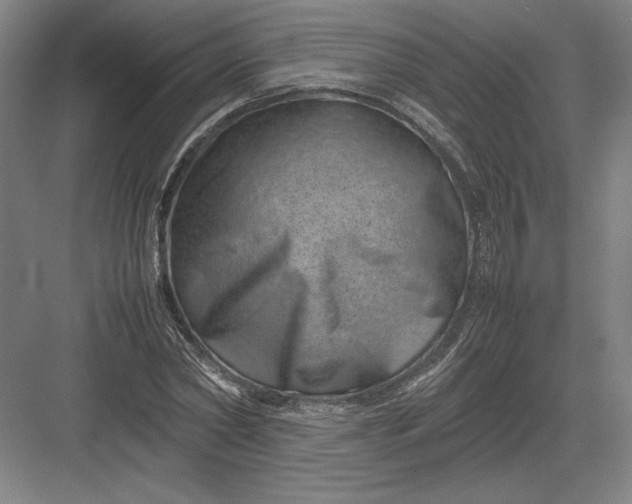 X0000082990782200702160022