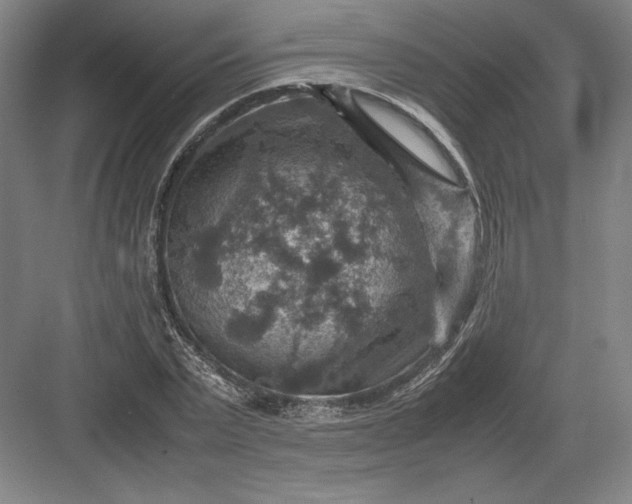 X0000082990783200702160022