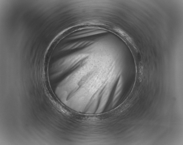 X0000082990784200702160022