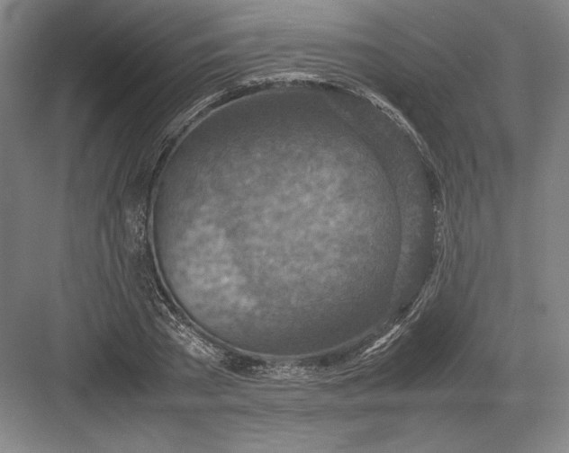 X0000082990785200702160022