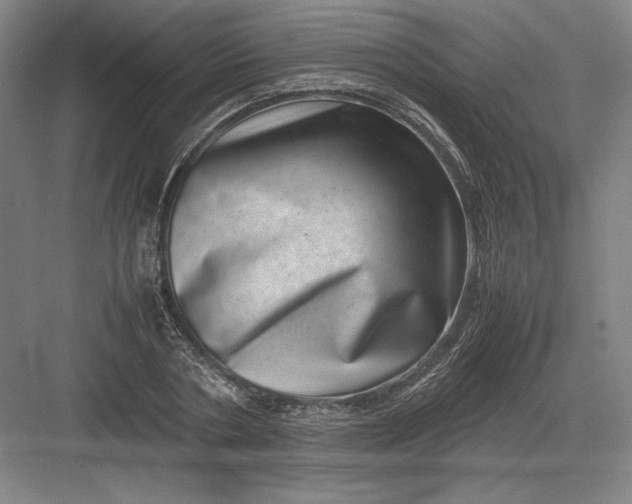 X0000082990786200702160022