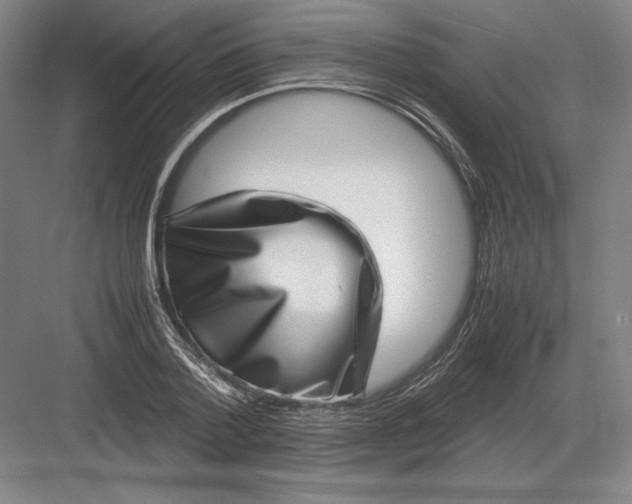 X0000082990788200702160022