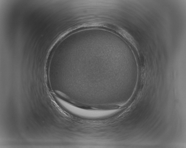 X0000082990789200702160022