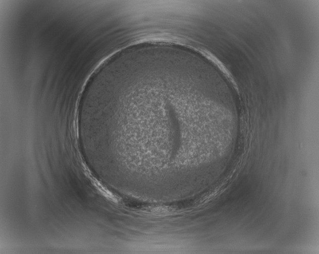 X0000082990791200702160022