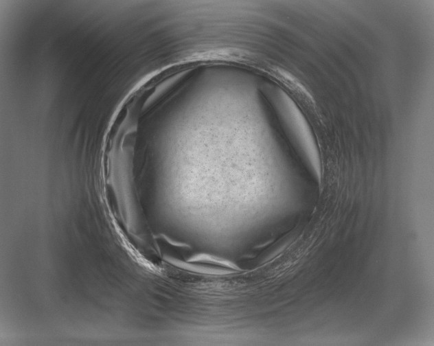 X0000082990792200702160022