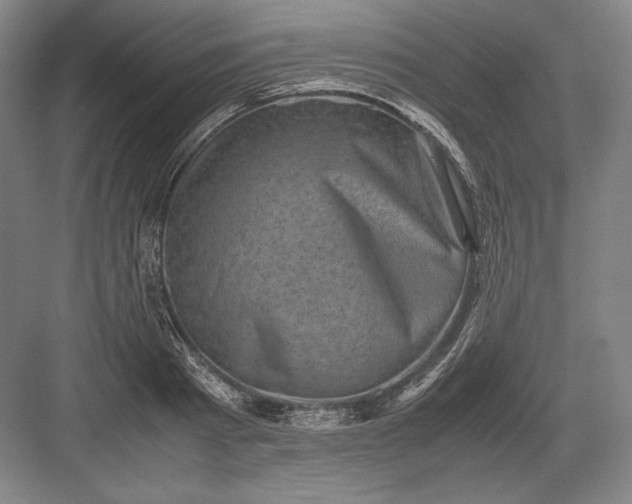 X0000082990793200702160022